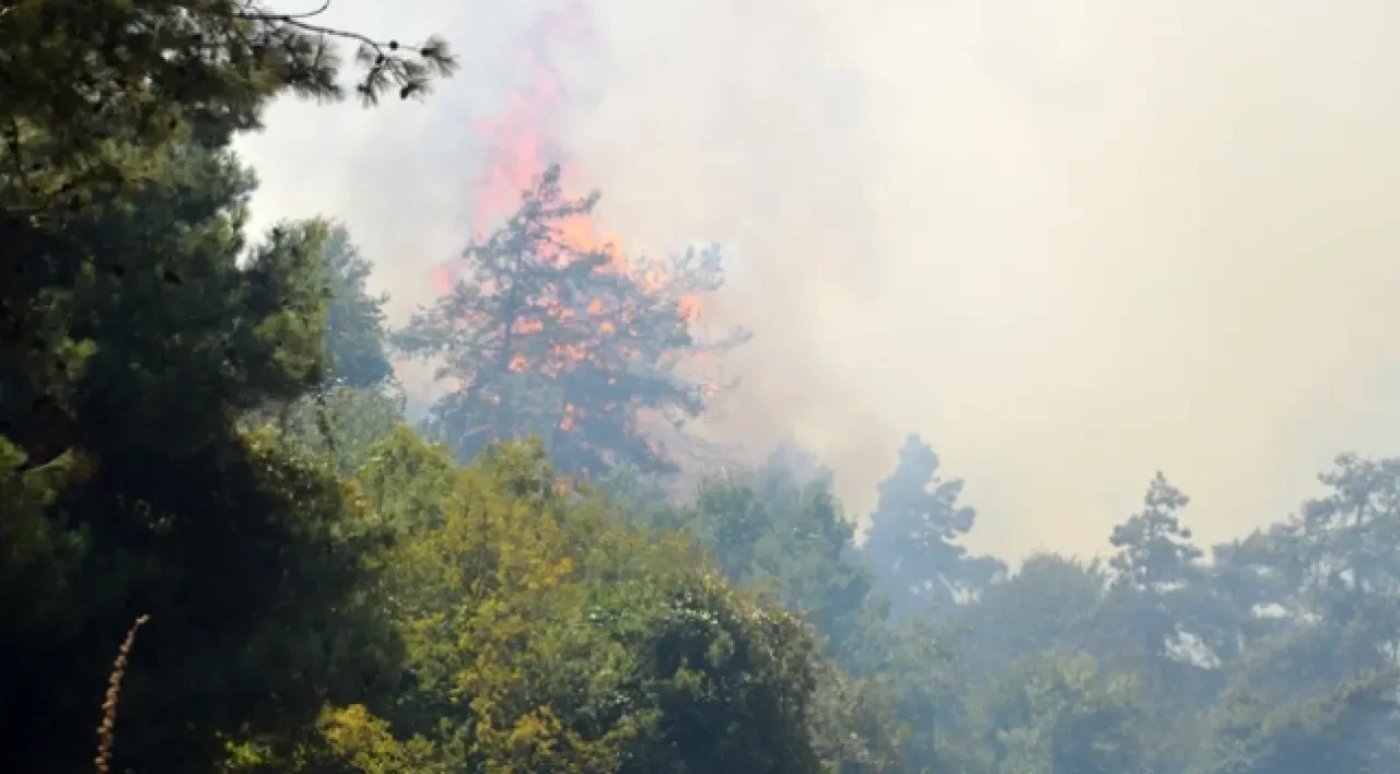 Bursa'da Orman Yangınına Havadan ve Karadan Eş Zamanlı Müdahale Devam Ediyor