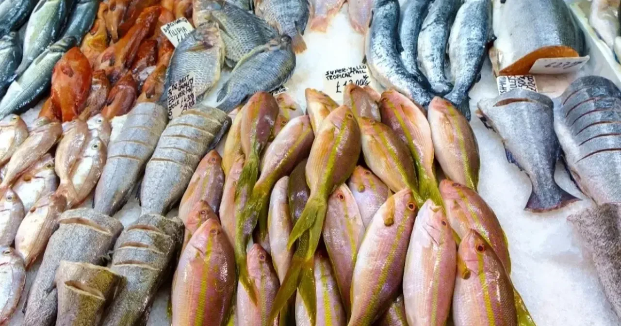 Hangi Balıkları Yememelisiniz? Tehlikeli Türler Açıklandı