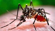 Chikungunya virüsü korkutucu bir hızla yayılıyor! 16 ülkede 240 binden fazla vaka ve 90'dan fazla ölüm görüldü.