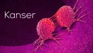 “Endometrium Kanserinde Magnezyumun Şaşırtıcı Rolü: Uzmanlar Uyarıyor!”