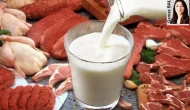 Yüksek miktarda zararlı toksin içeren besinler sağlığımızı tehdit ediyor!