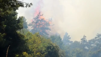 Bursa'da Orman Yangınına Havadan ve Karadan Eş Zamanlı Müdahale Devam Ediyor