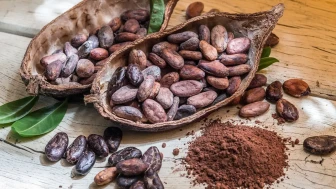 Hafızayı güçlendiren mucize bir besin: 1 lokma ile unutkanlığa son!