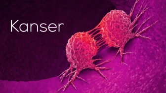“Endometrium Kanserinde Magnezyumun Şaşırtıcı Rolü: Uzmanlar Uyarıyor!”