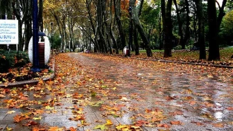 Sonbaharda İstanbul'da Yapılabilecek 10 Aktivite