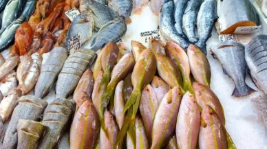 Hangi Balıkları Yememelisiniz? Tehlikeli Türler Açıklandı