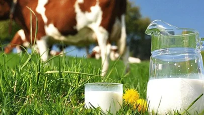 Marketteki sütler gerçekten sağlıklı mı?