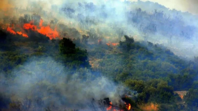 Çanakkale'de Devam Eden Yangınla Mücadele Devam Ediyor! Tarihi Alanın Kuzey Hattı Geçici Olarak Kapatıldı, 6 Köy Boşaltıldı!