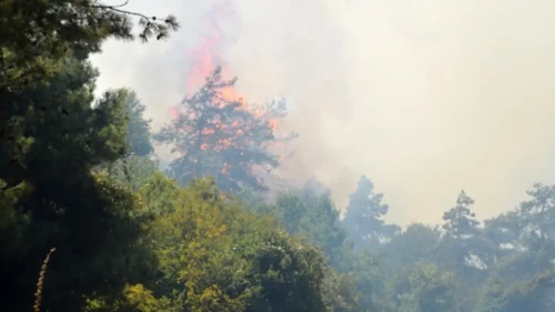 Bursa'da Orman Yangınına Havadan ve Karadan Eş Zamanlı Müdahale Devam Ediyor