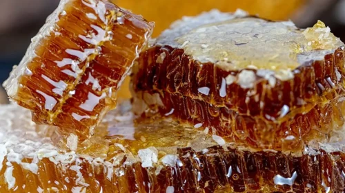 “Mobil Arıcılık Teknolojisi ile Doğal ve Katkısız Bal Üretimi Mümkün”