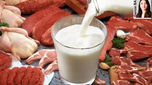 Yüksek miktarda zararlı toksin içeren besinler sağlığımızı tehdit ediyor!