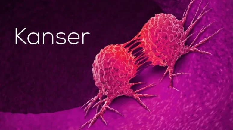 “Endometrium Kanserinde Magnezyumun Şaşırtıcı Rolü: Uzmanlar Uyarıyor!”